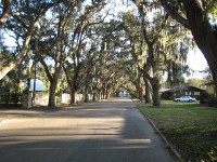 nice street in St Augustine