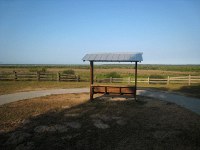 overlook on Payne's Prairie