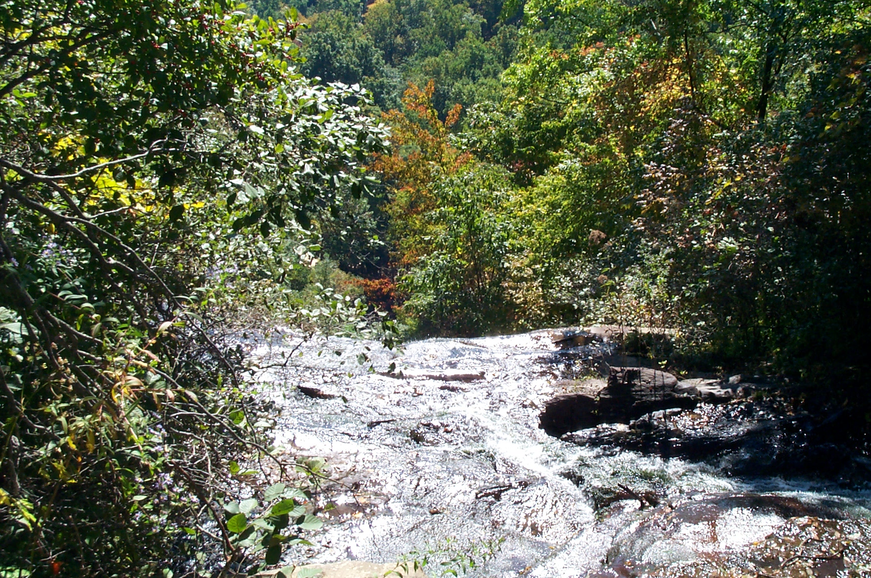 2000 10 15 Amicalola Falls hiking-016