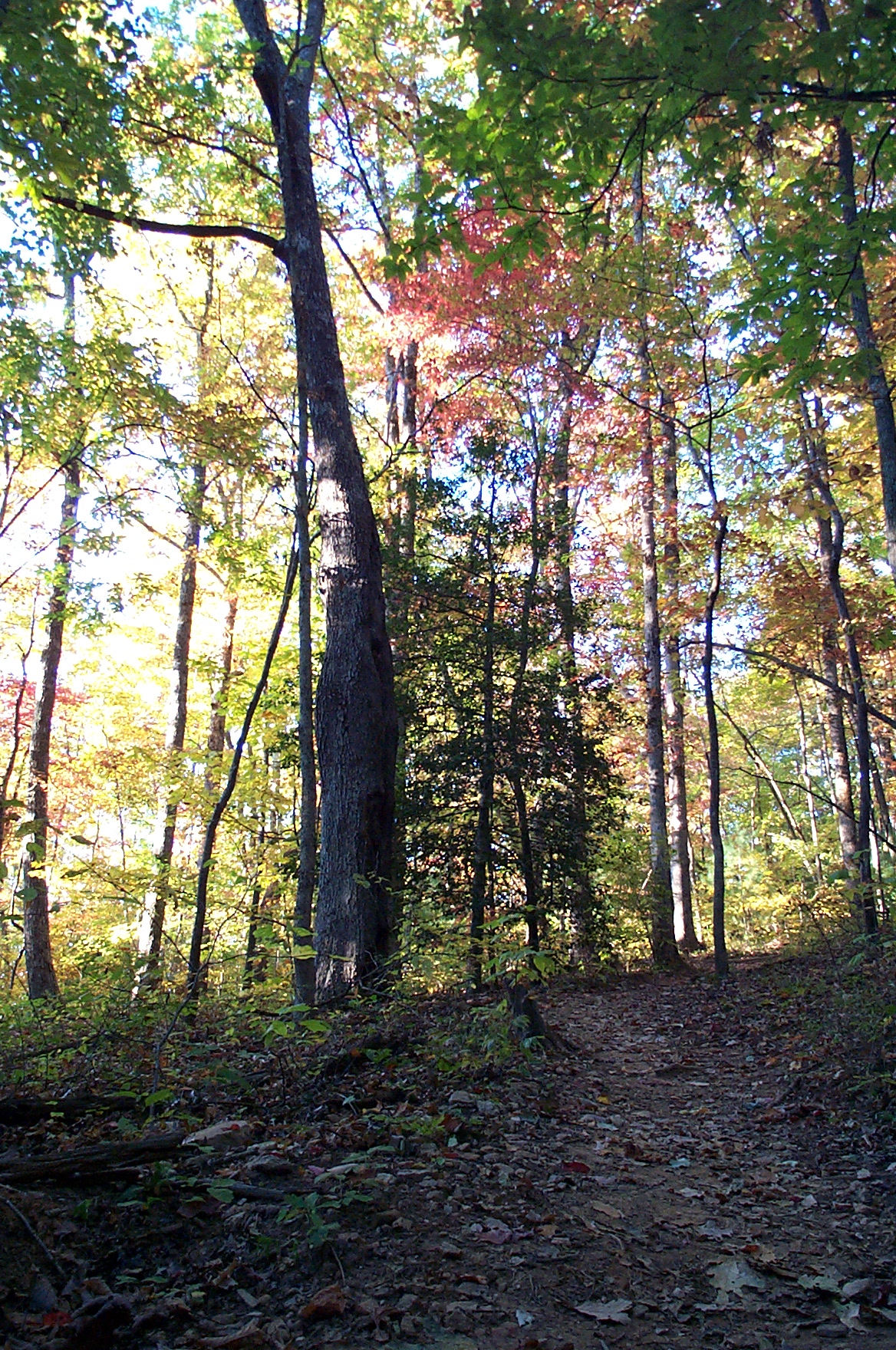 2000 10 15 Amicalola Falls hiking-030