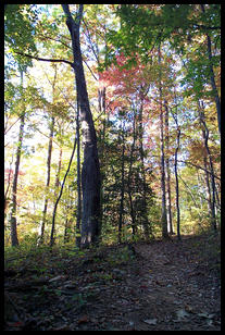 2000 10 15 Amicalola Falls hiking-030