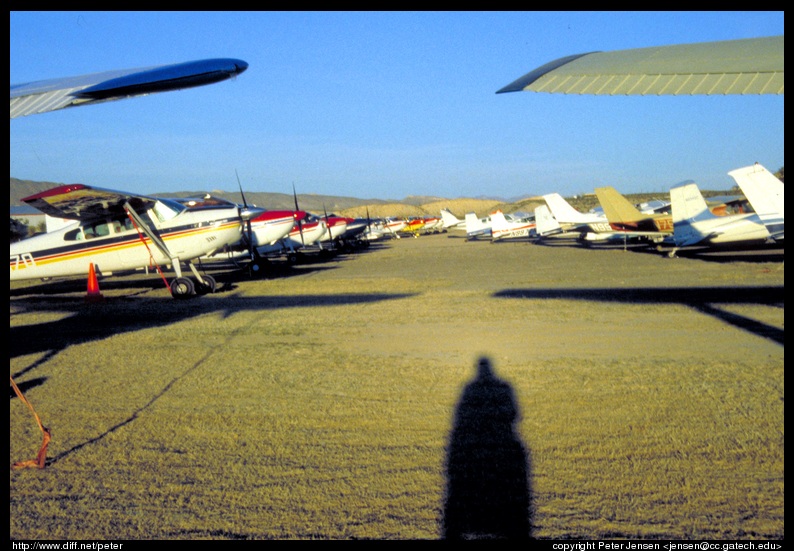 lots of Cessna 182 taildraggers