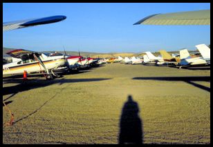 lots of Cessna 182 taildraggers