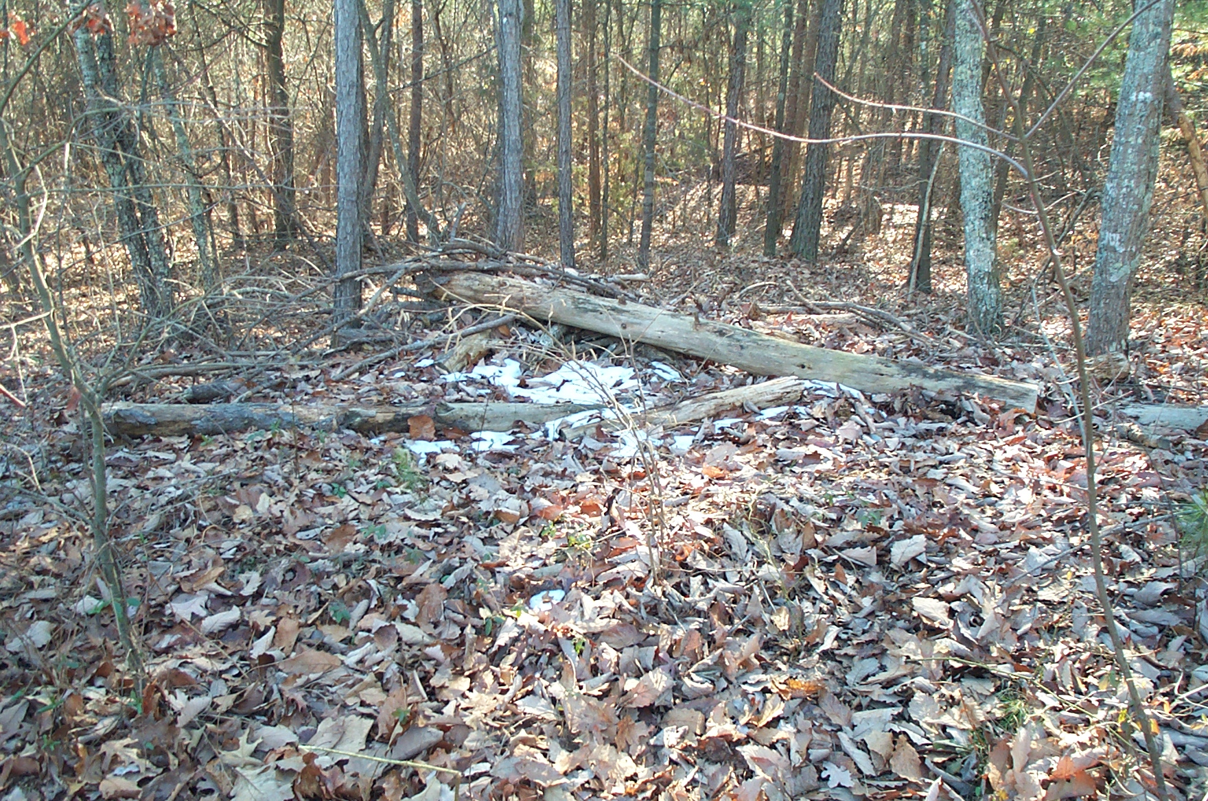 2001 01 06 Chickopee Woods ride-001