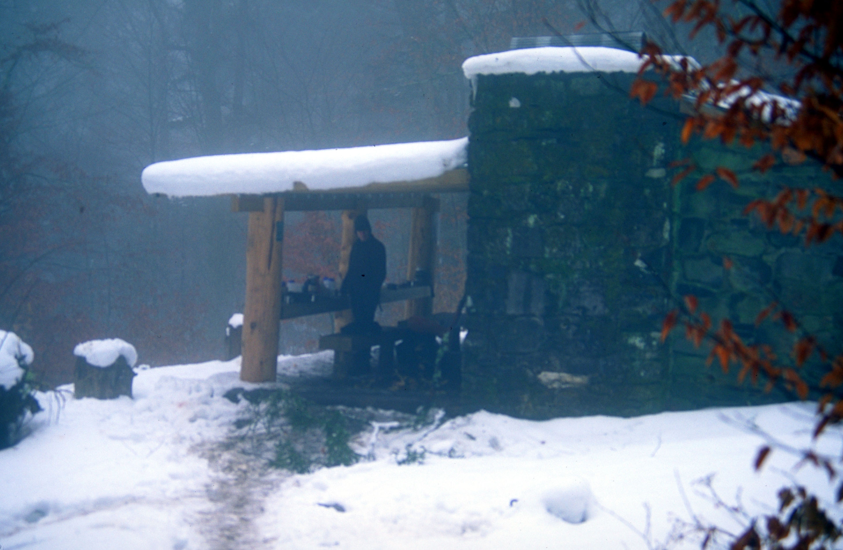 Peck's Corner shelter, viewed from approach trail