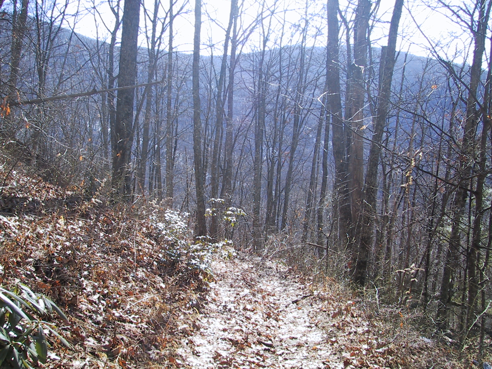 afternoon trail