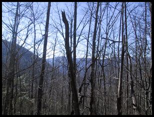 afternoon view of the mountains