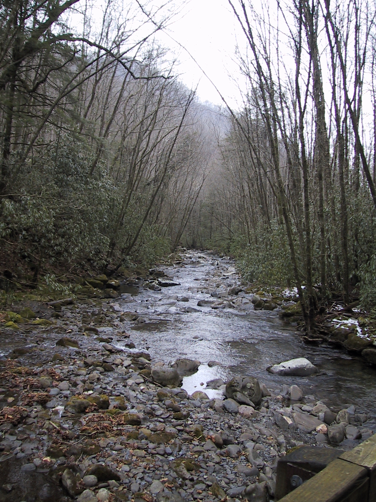 river from bridge 3