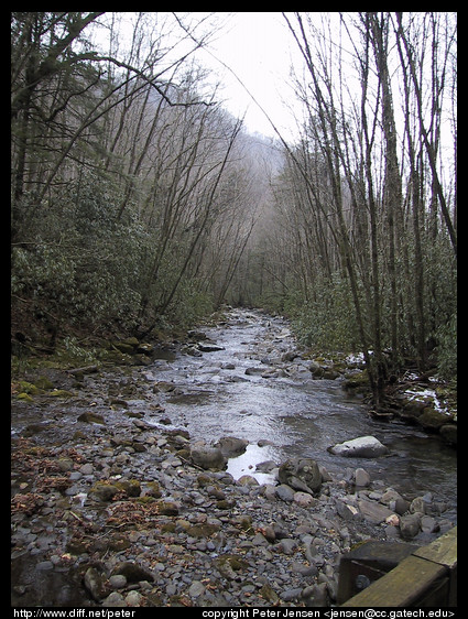 river from bridge 3