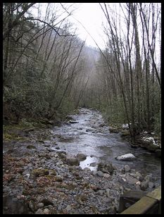 river from bridge 3