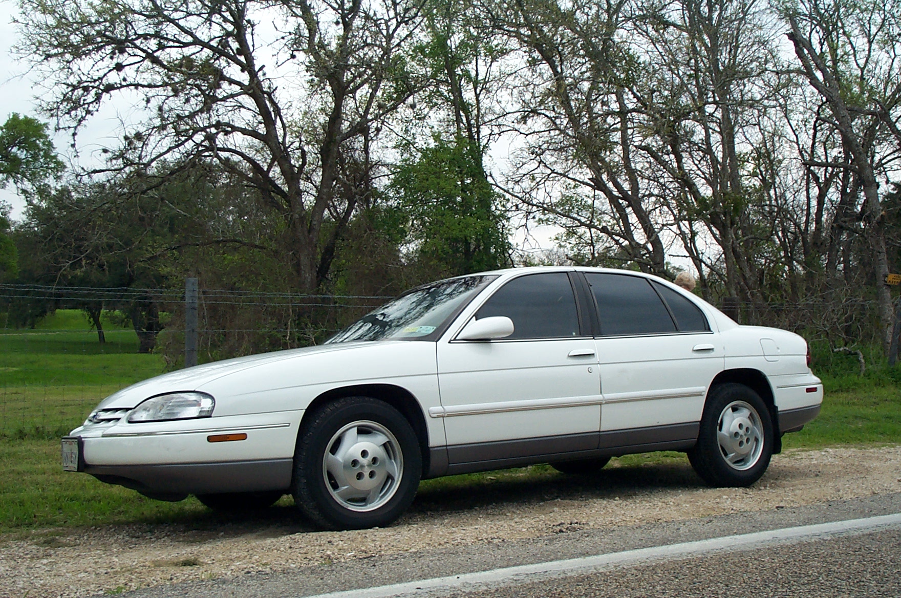 036-1996 Lumina