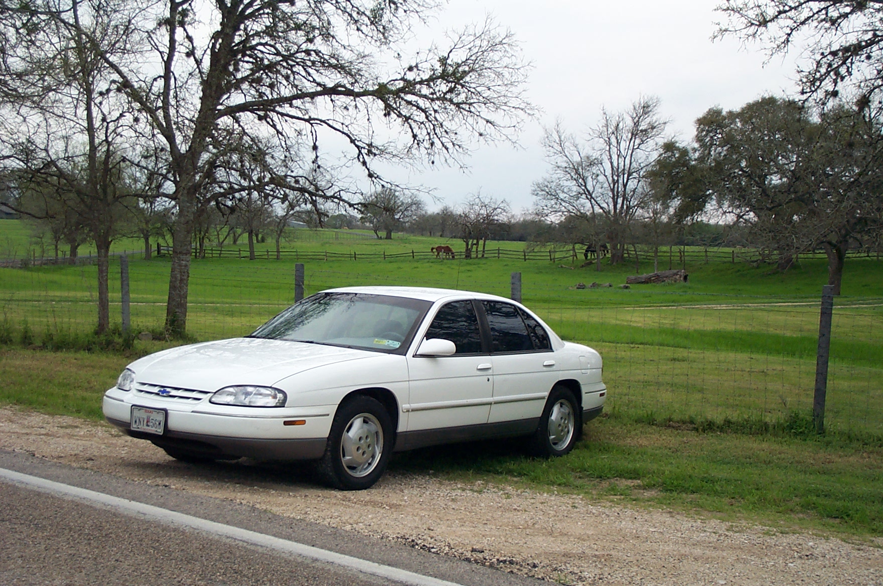 039-1996 Lumina