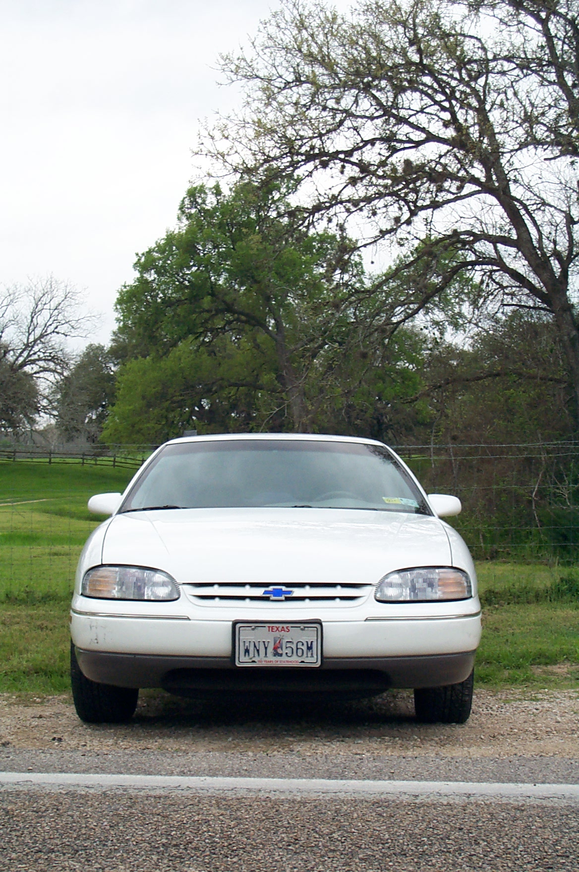 040-1996 Lumina