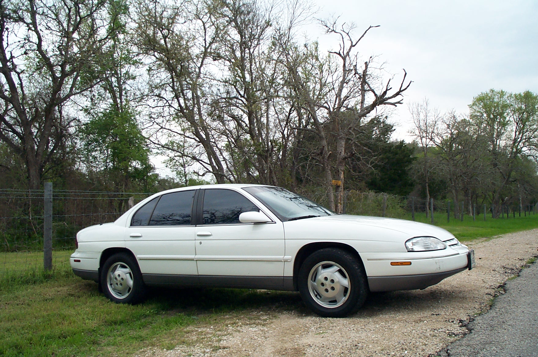 041-1996 Lumina