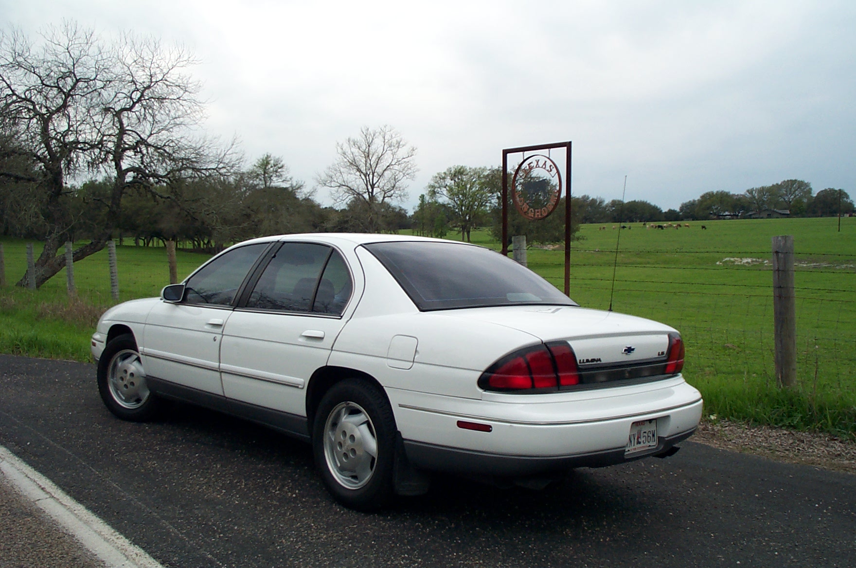 045-1996 Lumina