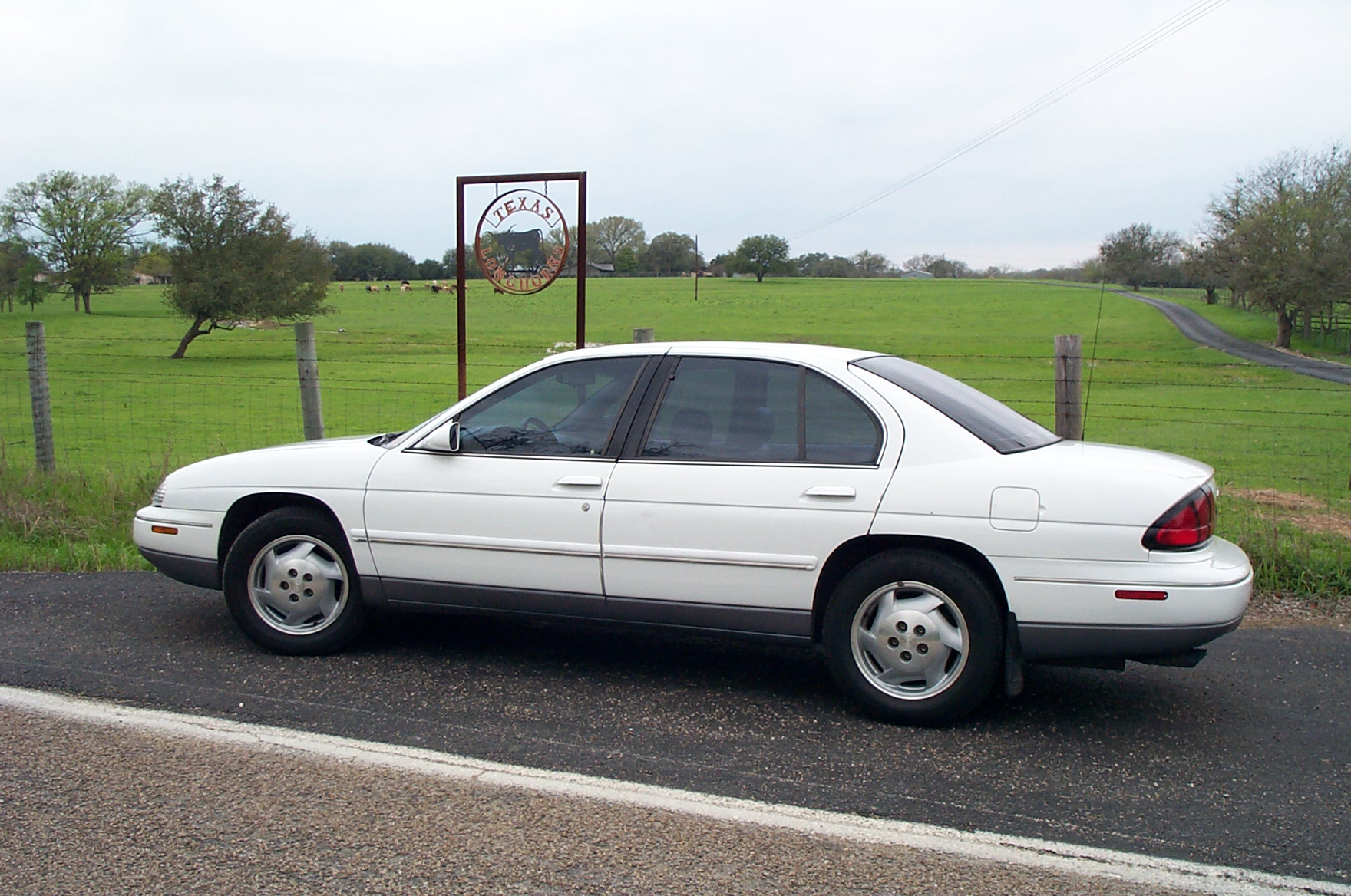 046-1996 Lumina