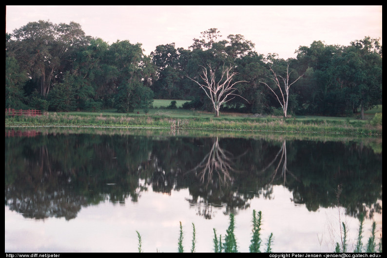 lake reflection 1