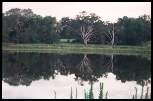 lake reflection 1