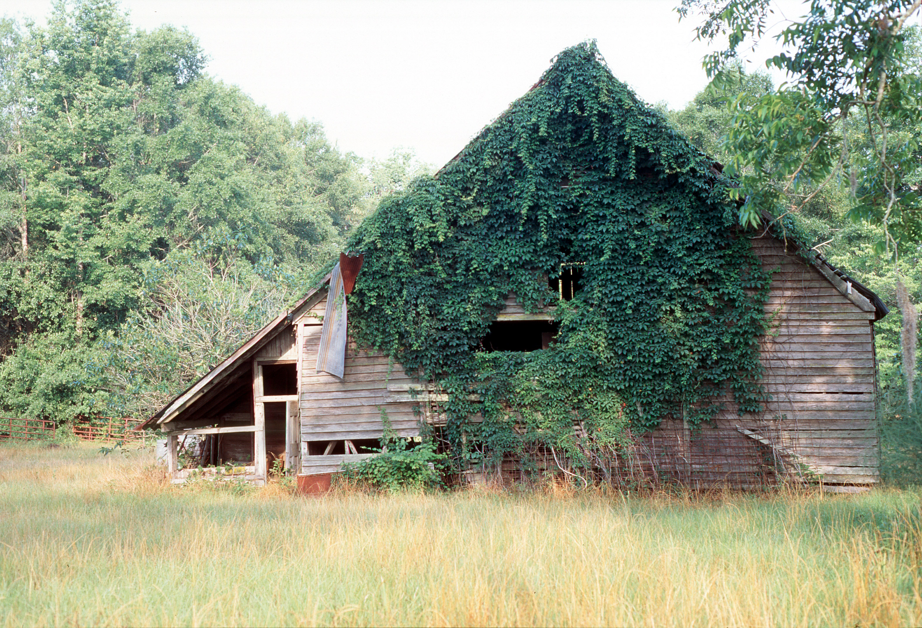 old barn 1