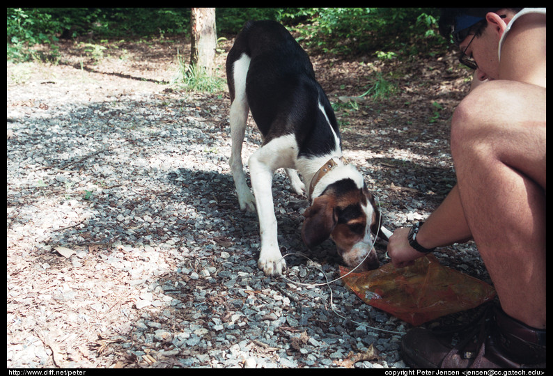 Jackie eating