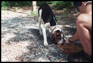 Jackie eating