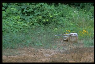 fallen chair