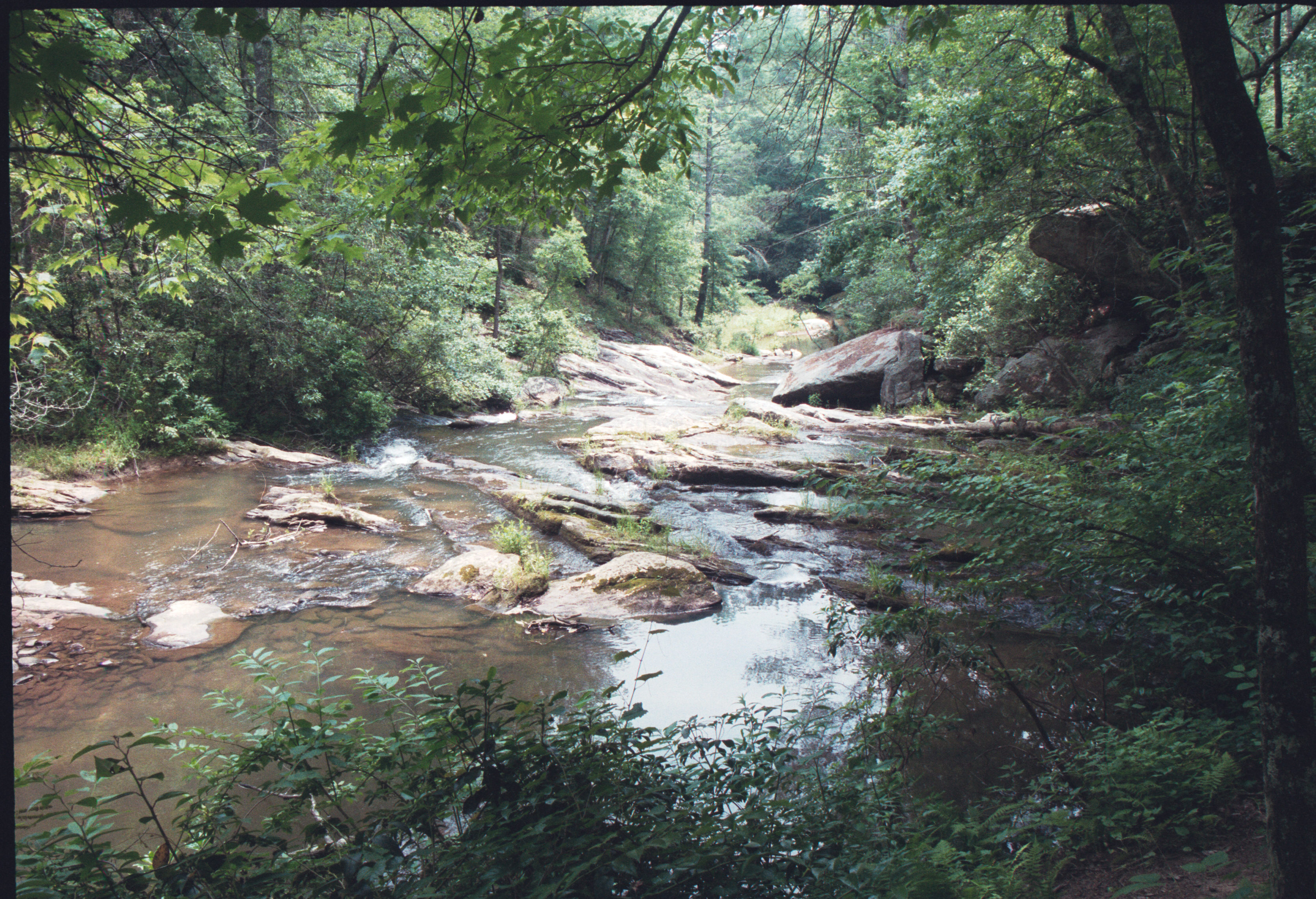 Panther creek falls