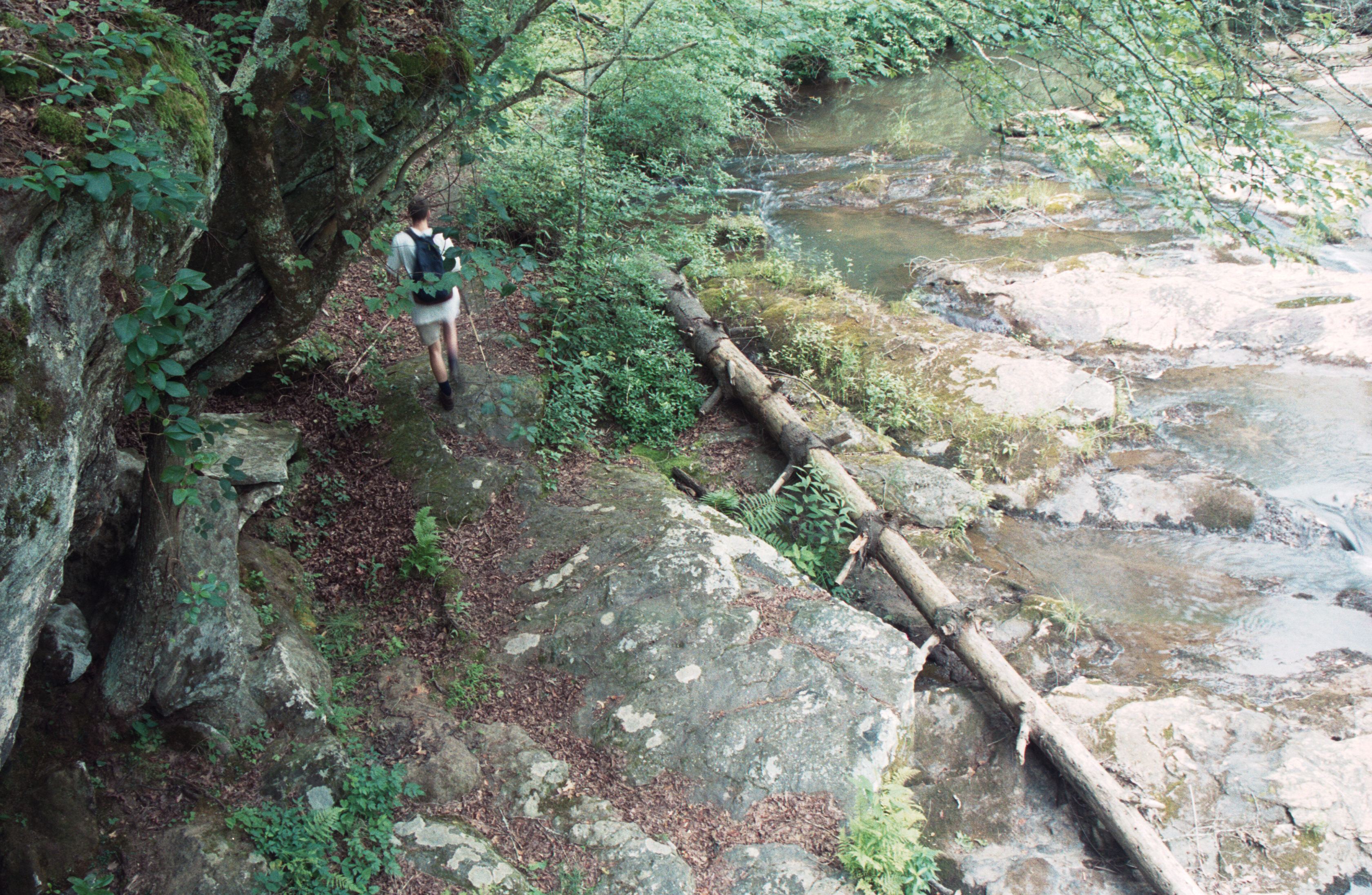 Michael heading back up falls