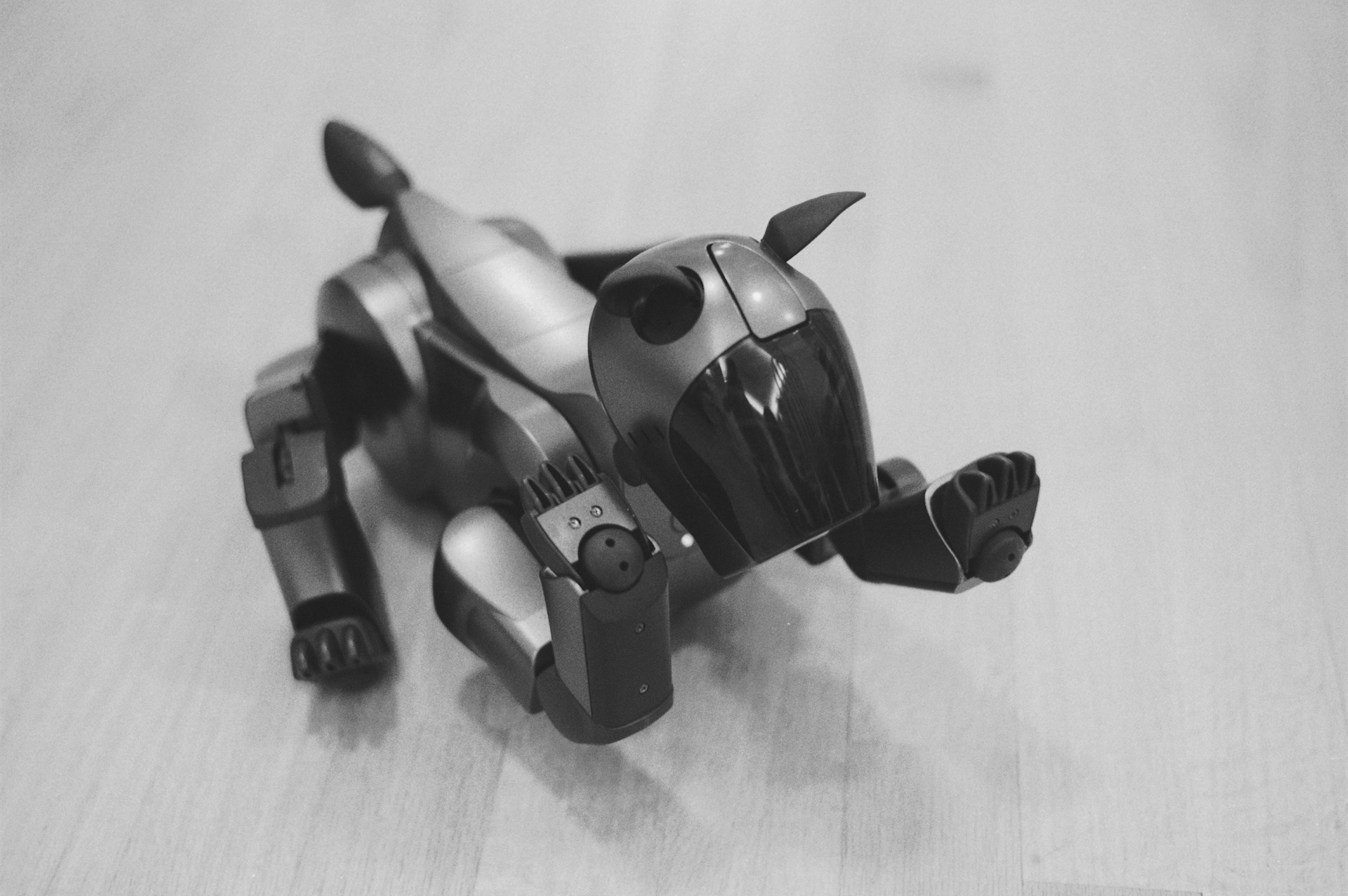 Aibo 2