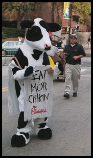 eat more chikin