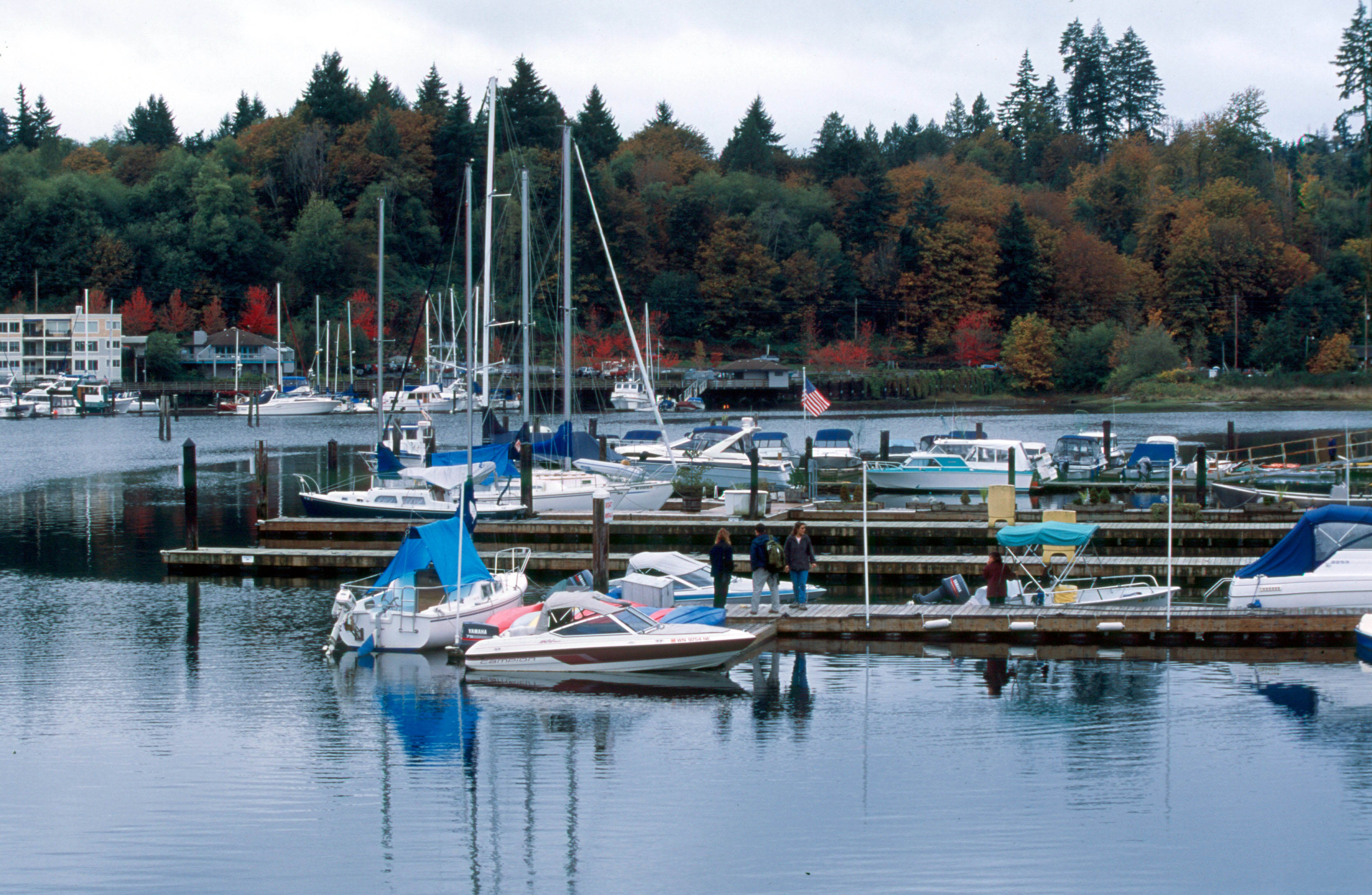 boats in marina