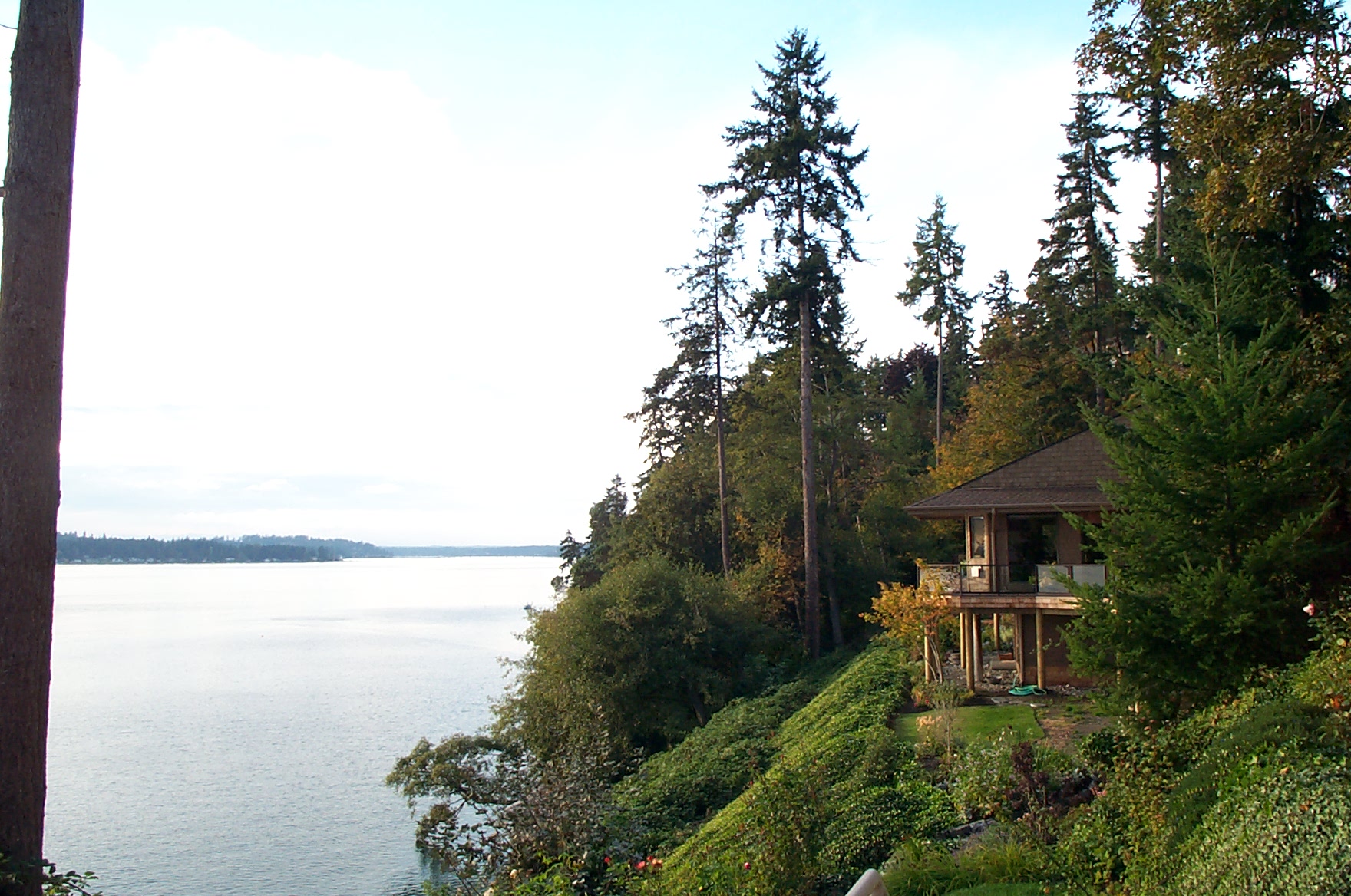 view from Lindsay's porch