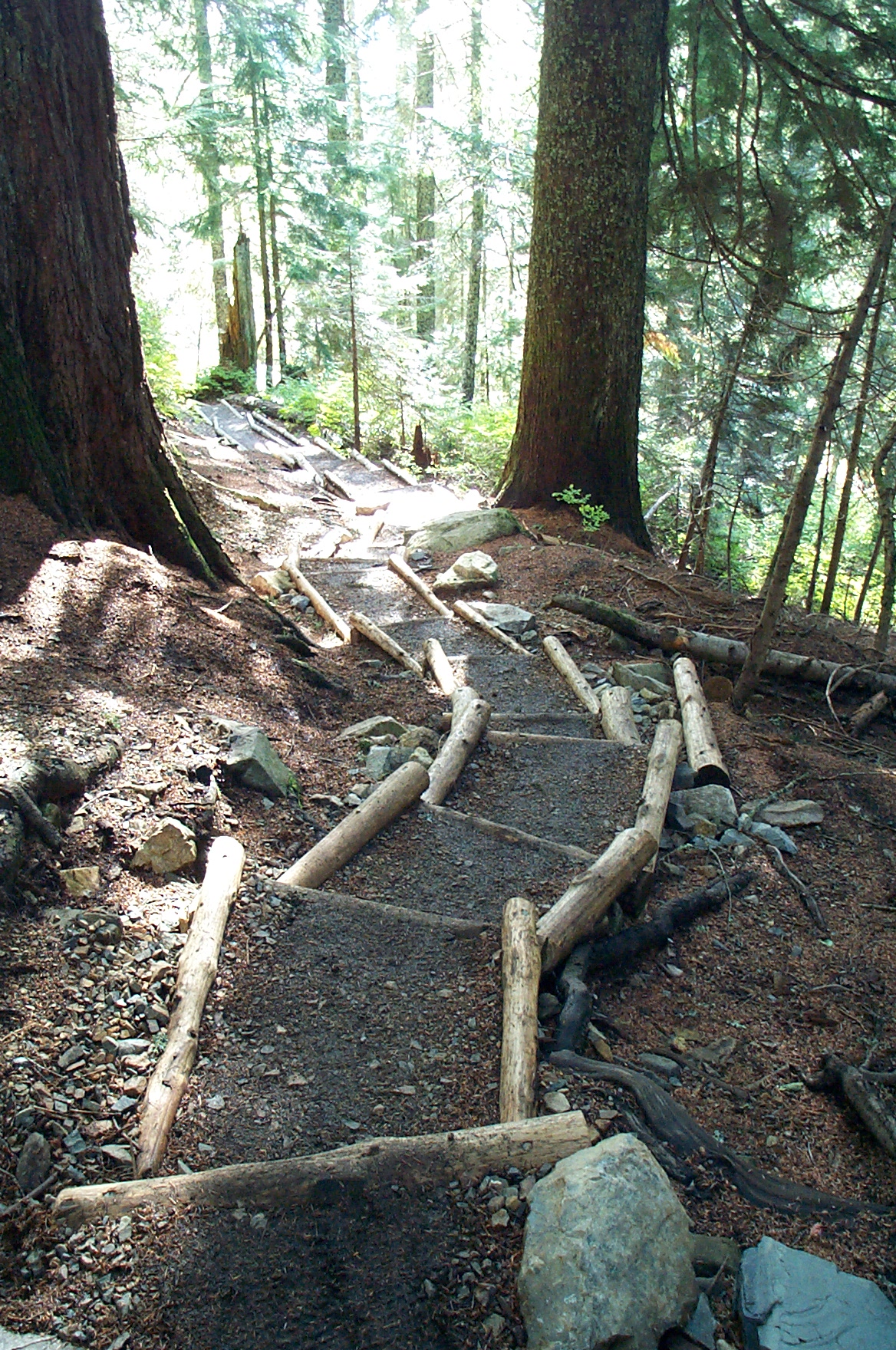 steps near the beginning of the Alpental trail to Snow Lake