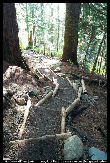 steps near the beginning of the Alpental trail to Snow Lake