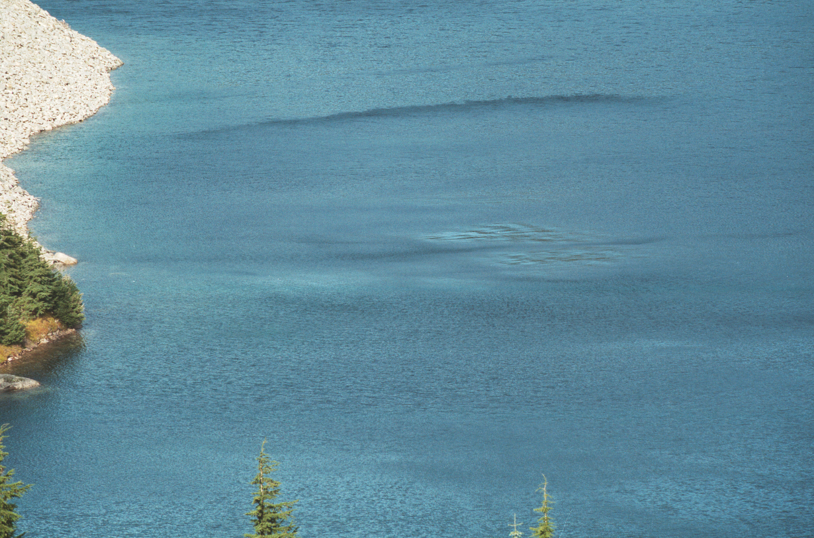 wind on water