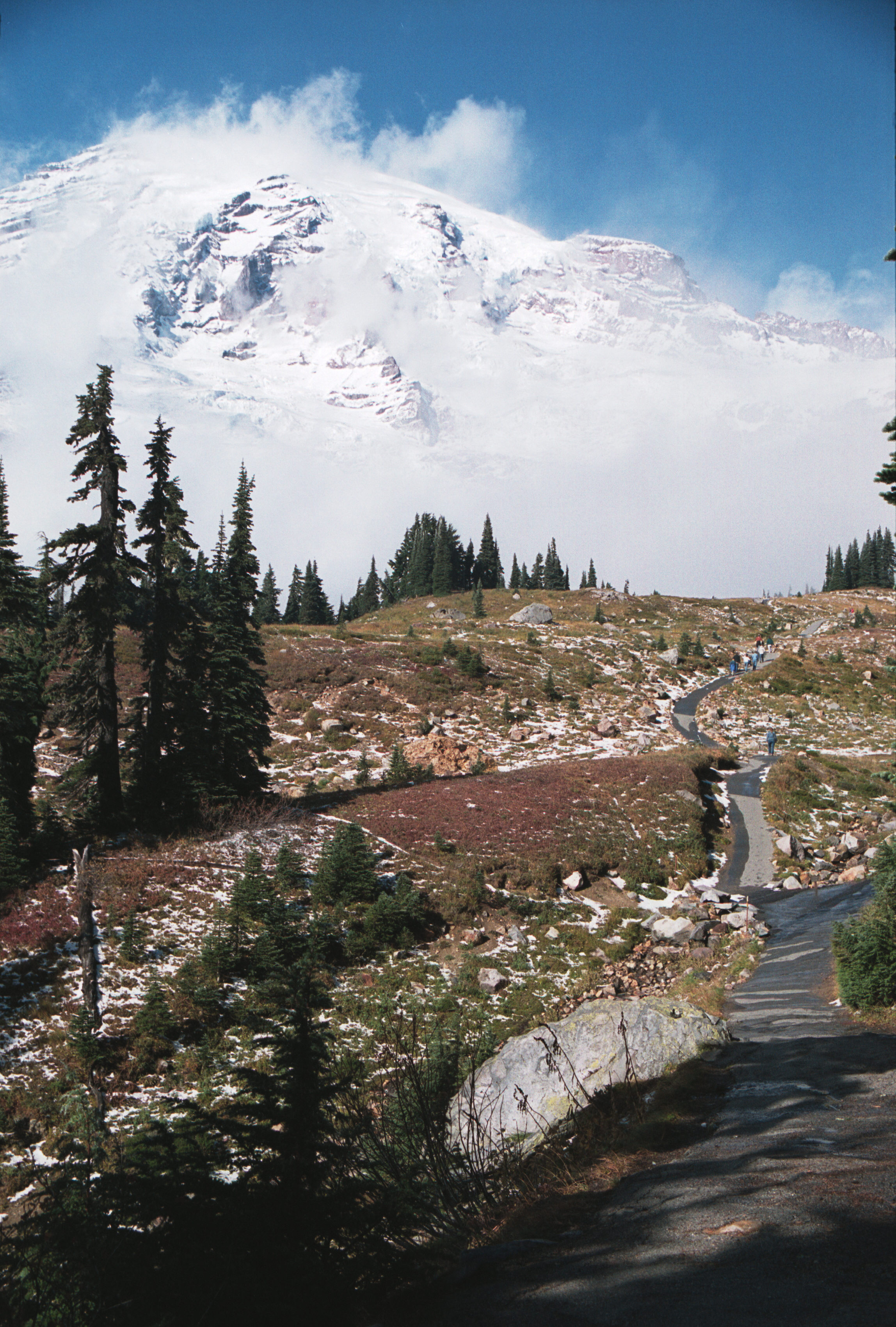 Mount Rainier