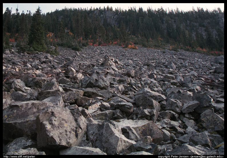 massive rock field