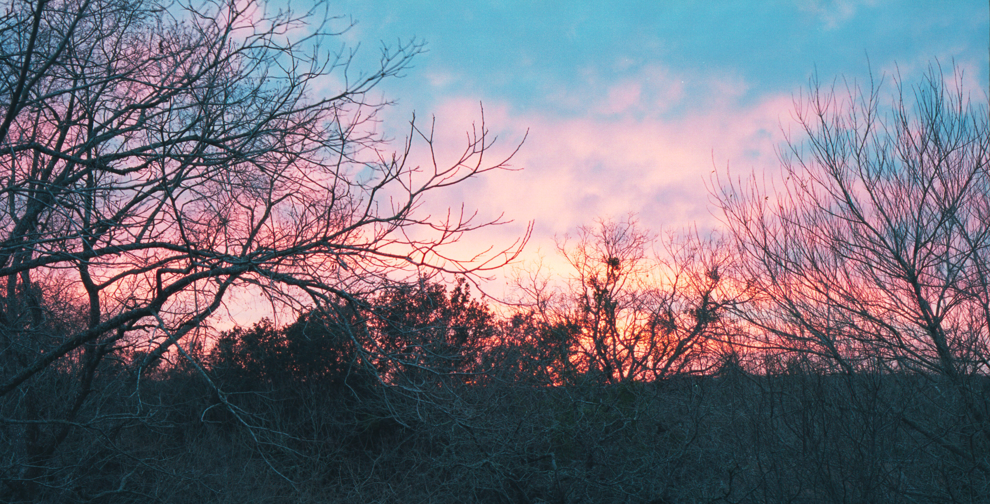 sunset from roof