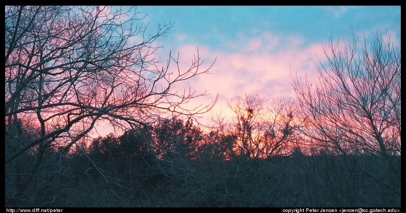 sunset from roof