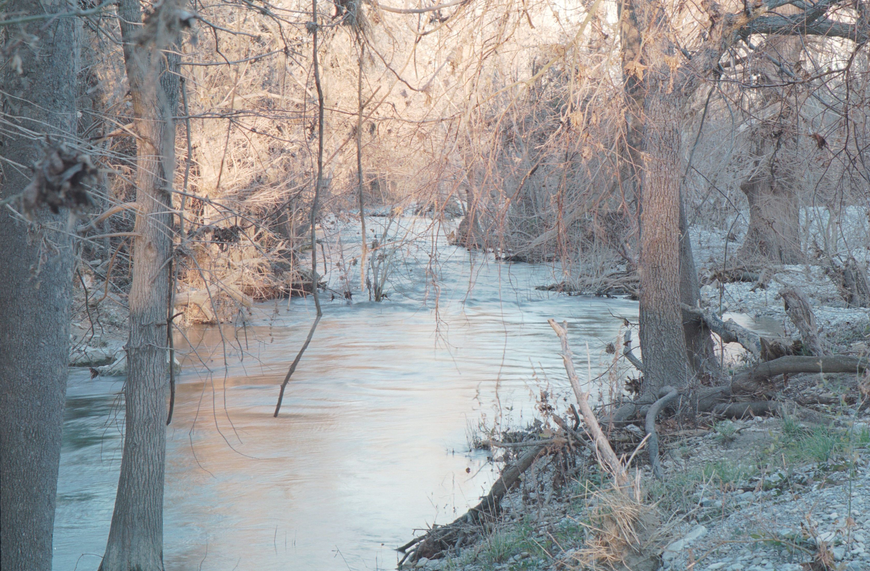 onion creek