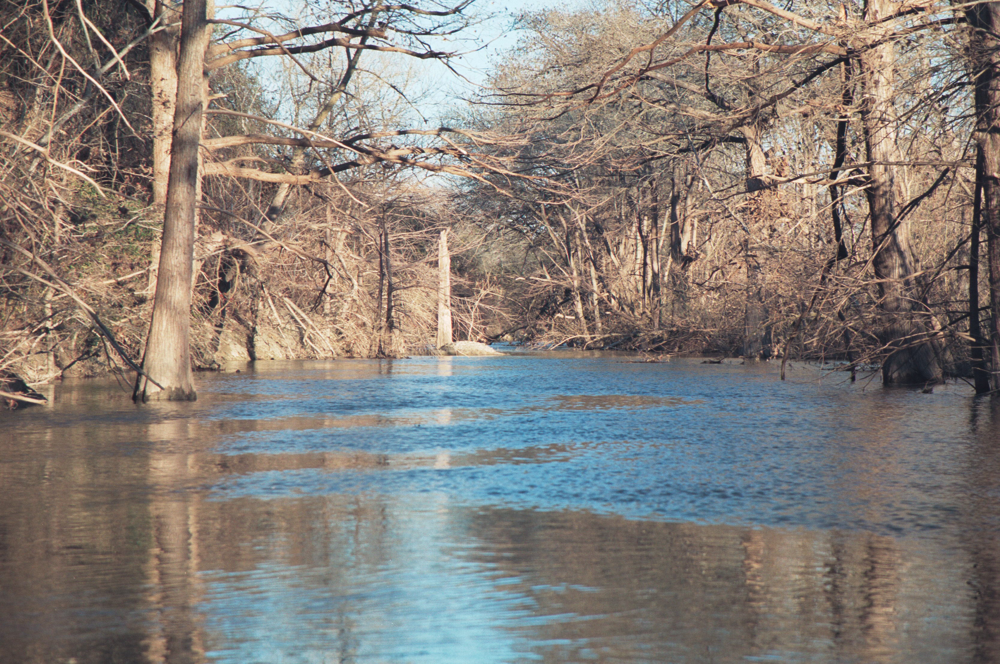 onion creek