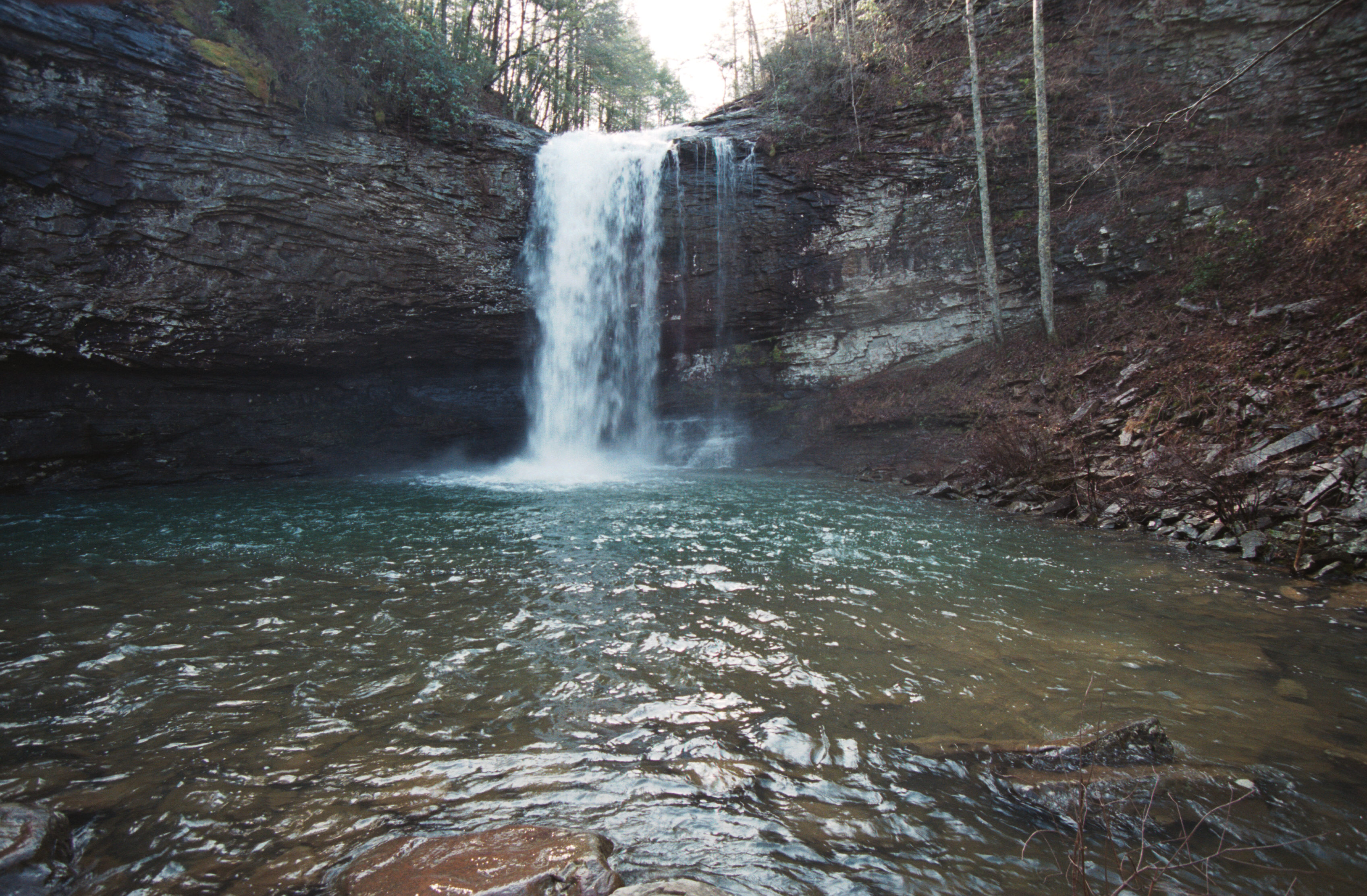 Cloudland Canyon