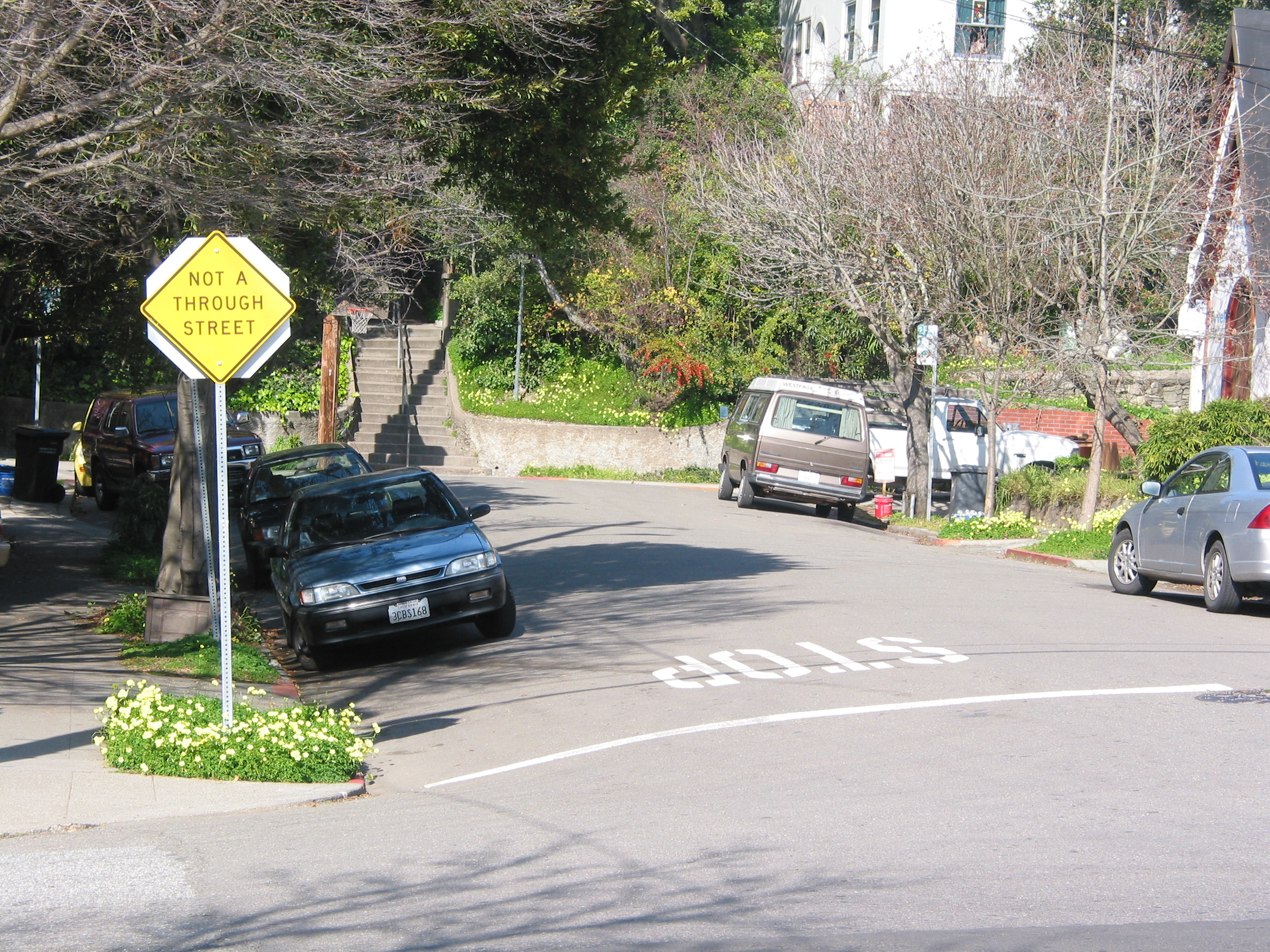 typical north-Berkeley street