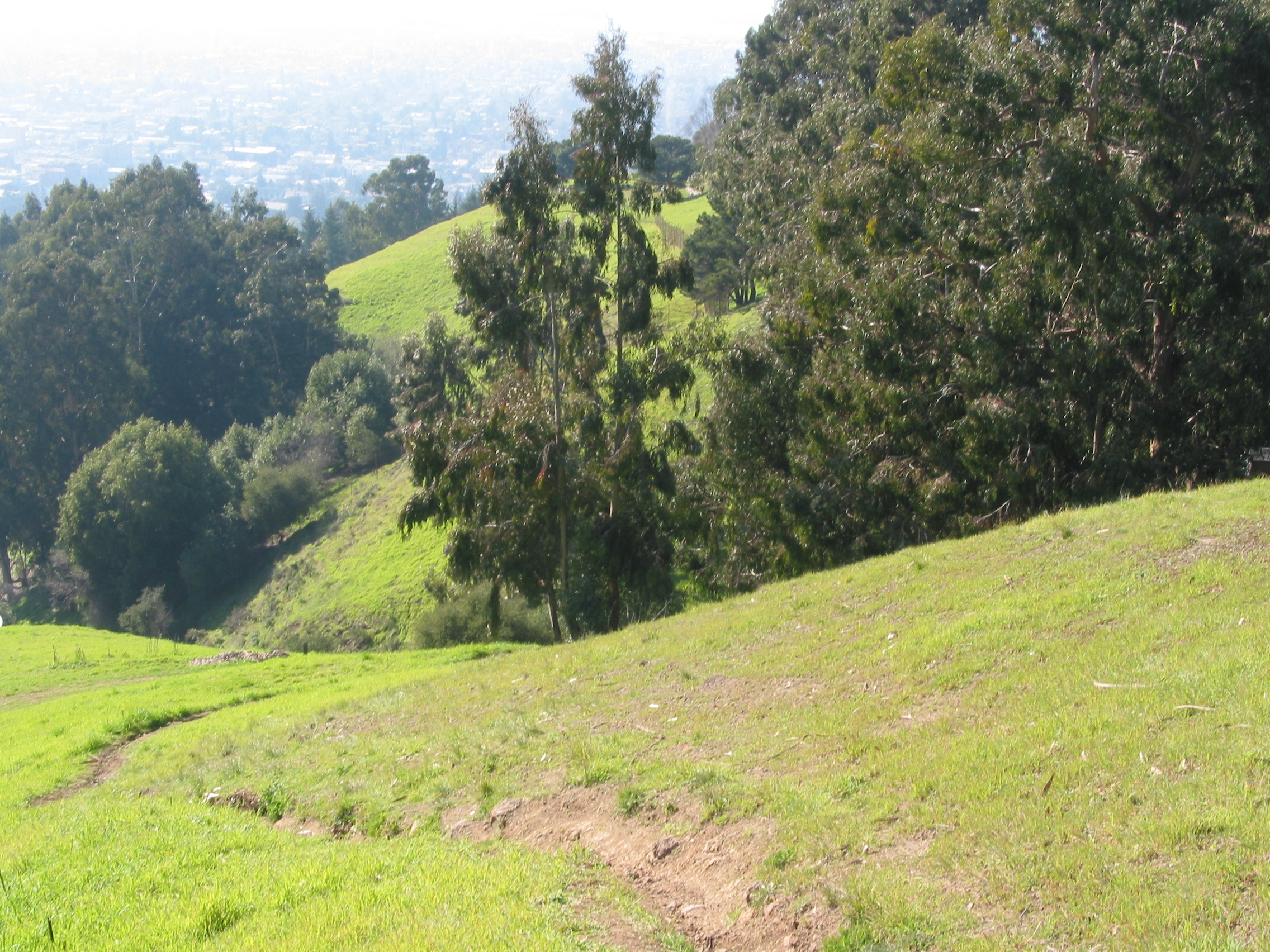 trail up to Lawrence hall of science