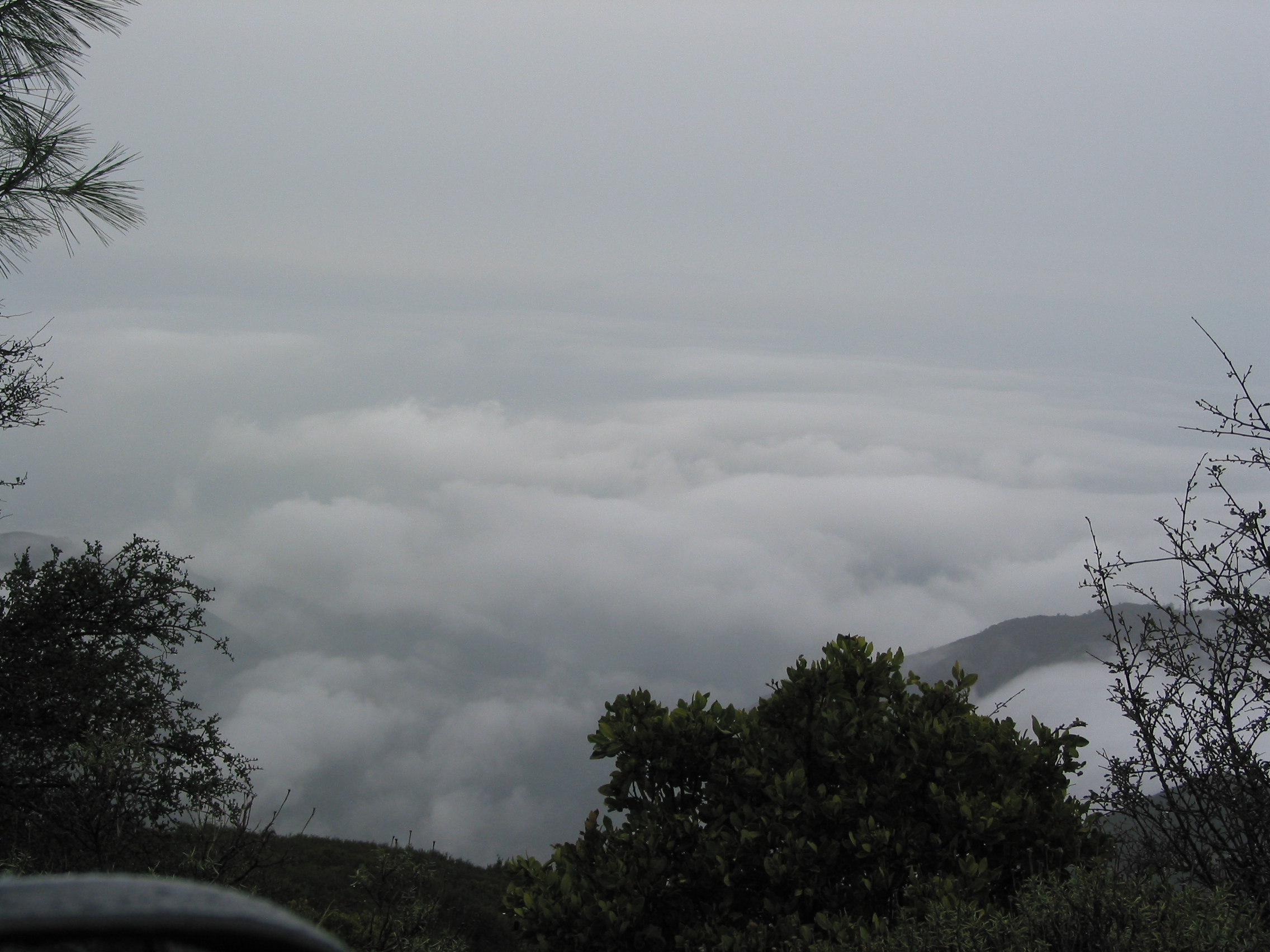 looking down out over the clouds