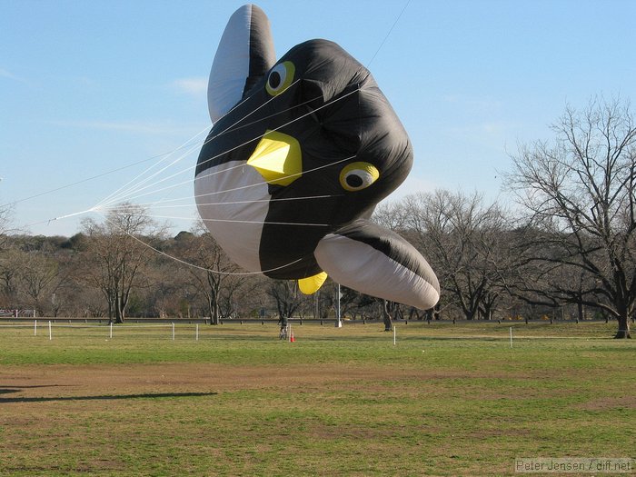 giant penguin kite