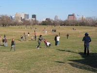 Austin and the Zilker kite festival