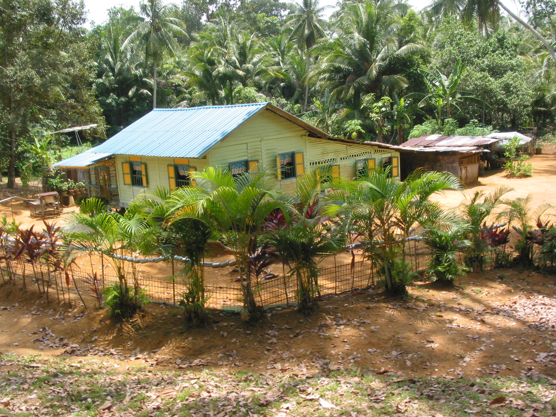 traditional home and farm