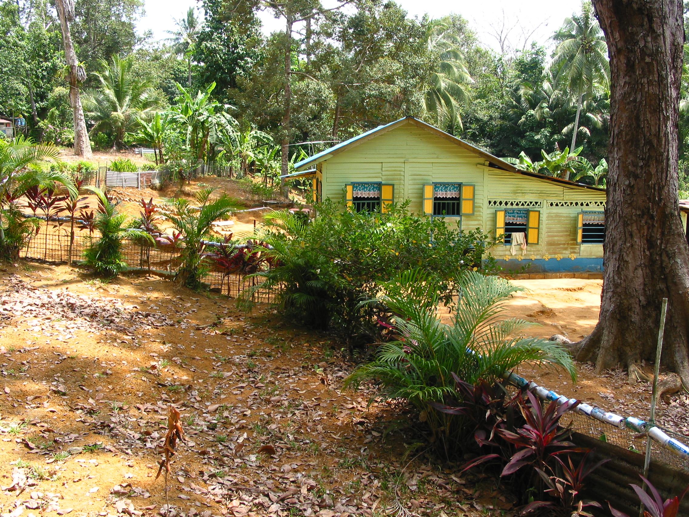 traditional home and farm