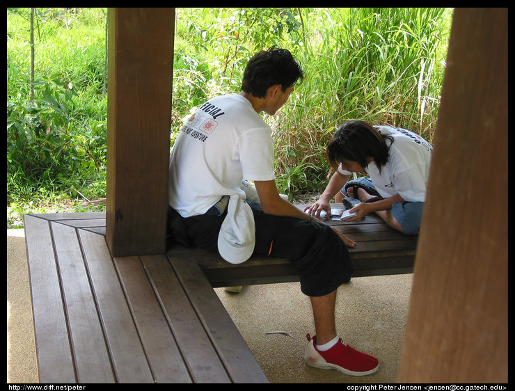 camp counselors playing cards